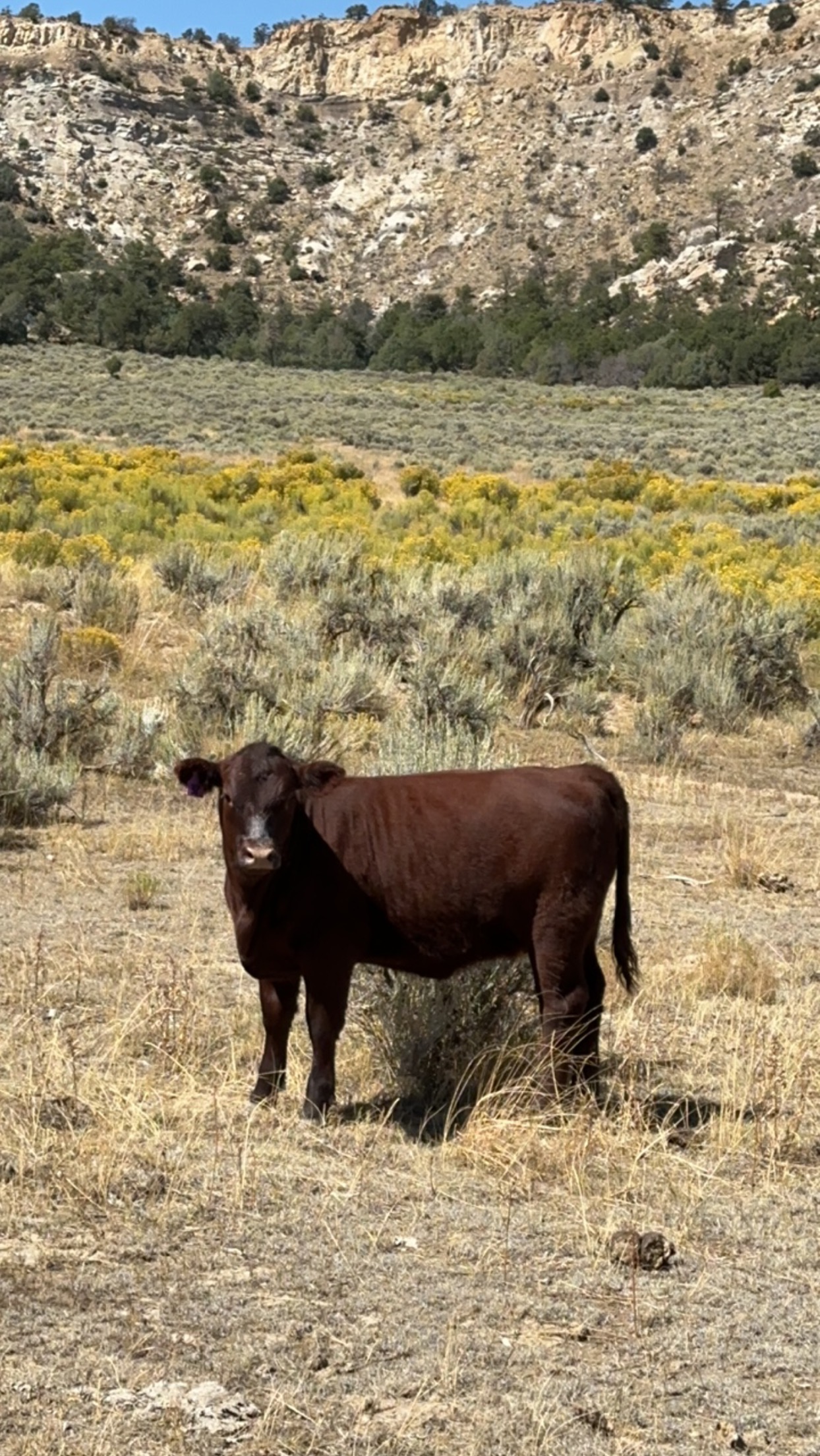 Jacquez Ranch gallery 22