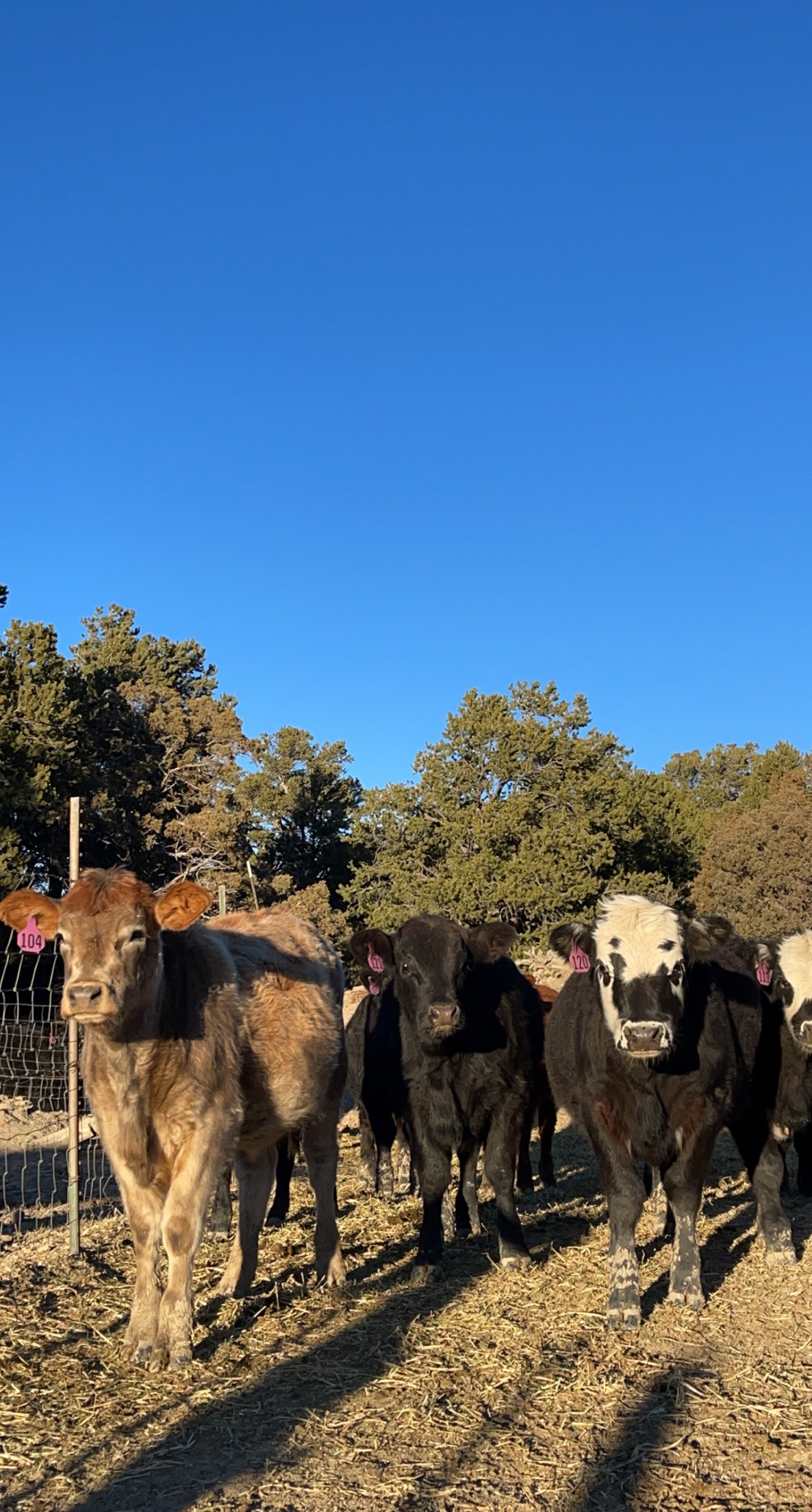Jacquez Ranch gallery 14