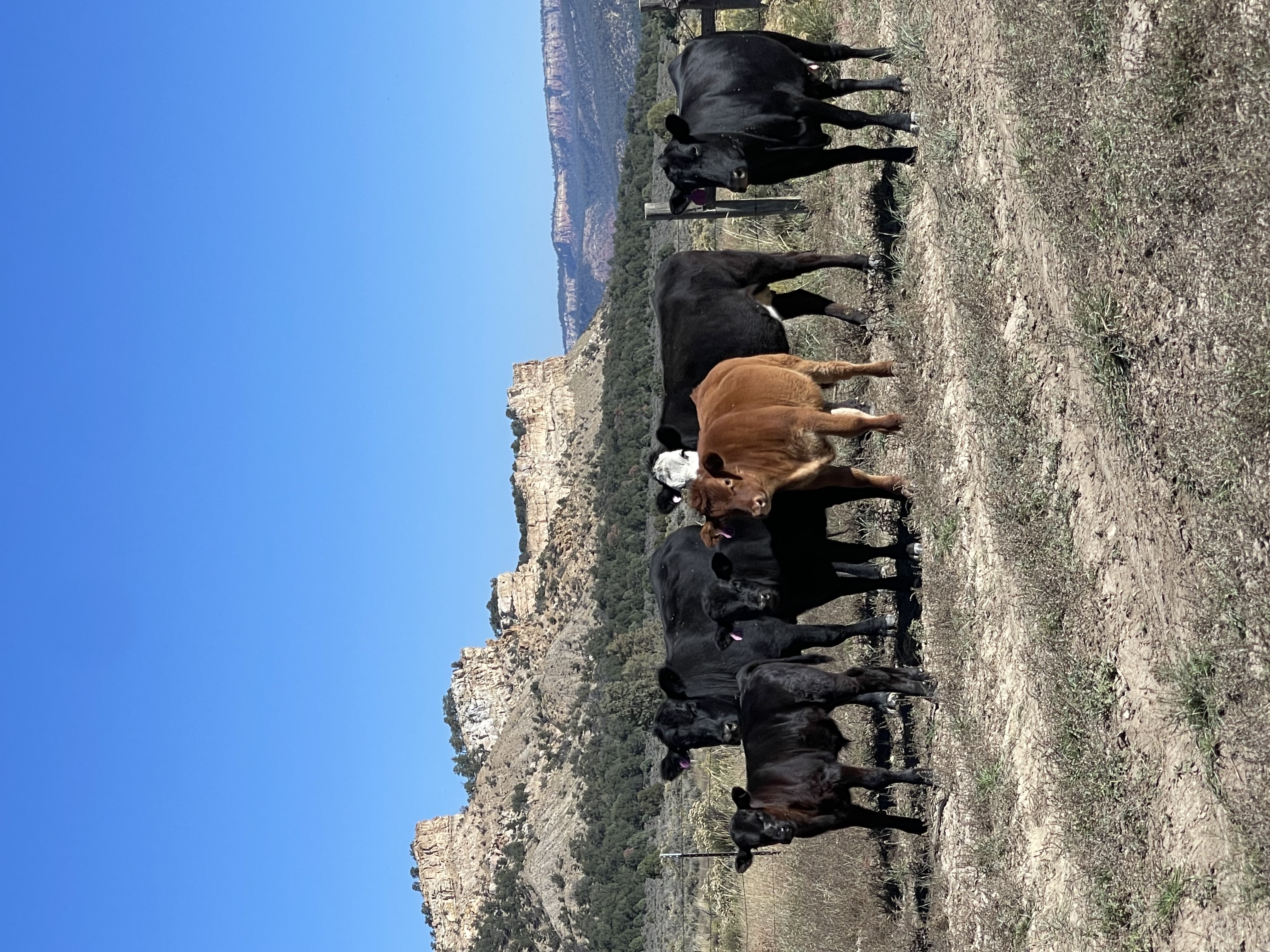 Jacquez Ranch gallery 16