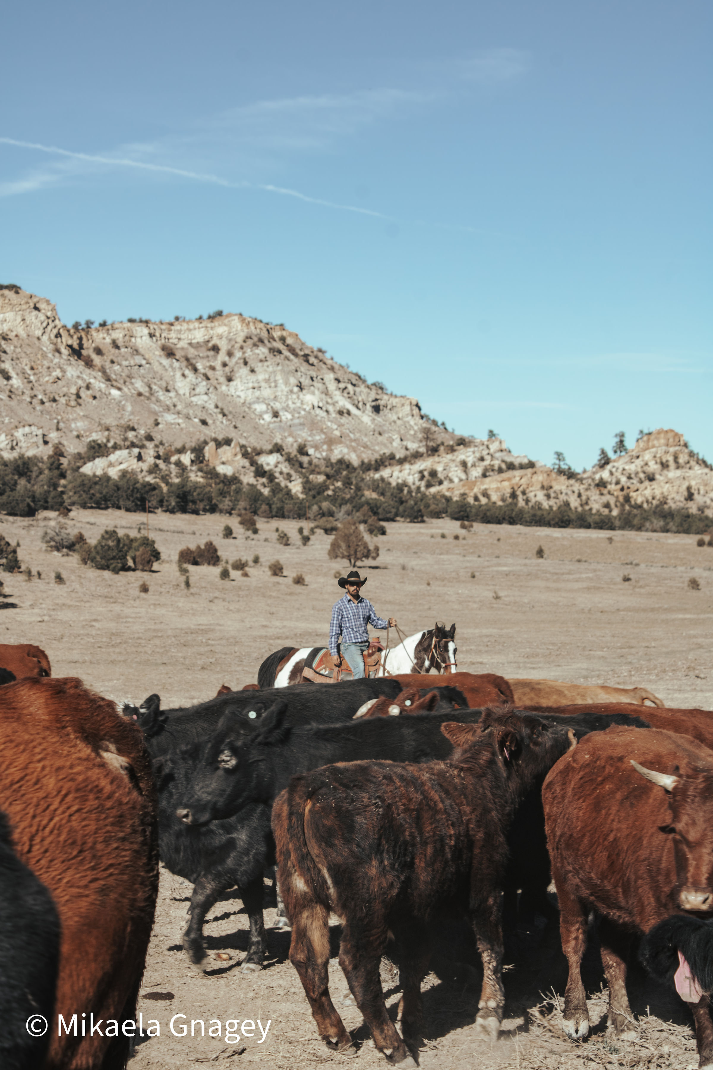 Jacquez Ranch gallery 3